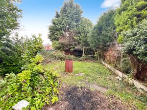 Garden- click for photo gallery